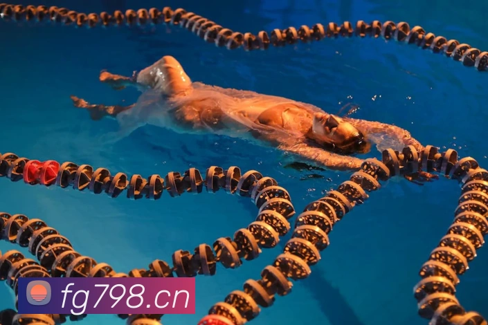 leyu乐鱼官方网页品牌故事